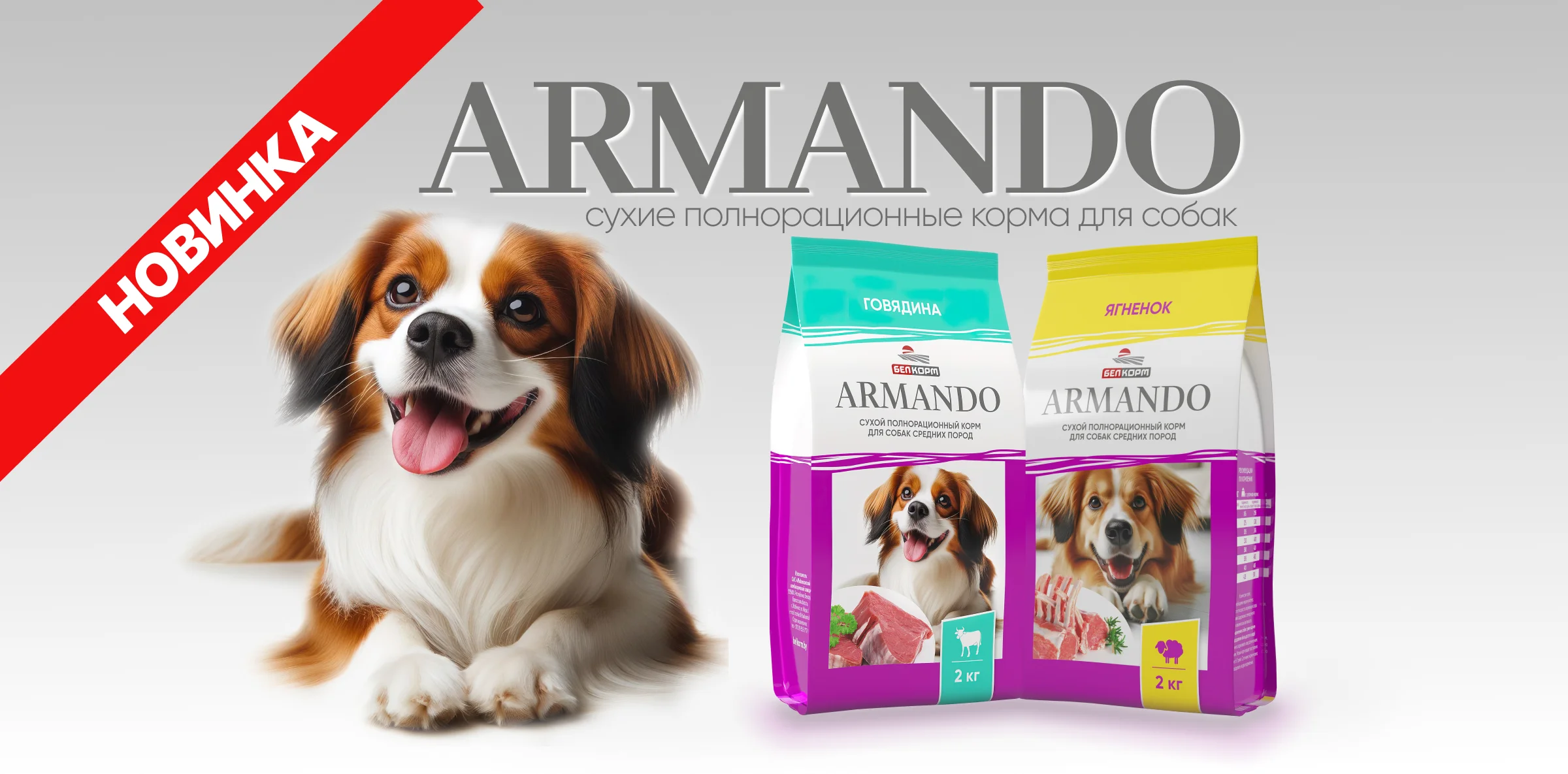 Armando_Dog