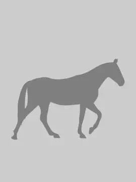 Комбикорм для лошадей