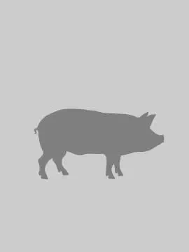 КК-55 Комбикорм для откорма свиней до жирных кондиций